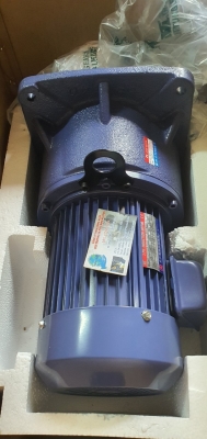 ĐỘNG CƠ GIẢM TỐC TUNGLEE PF28-0200-100S3